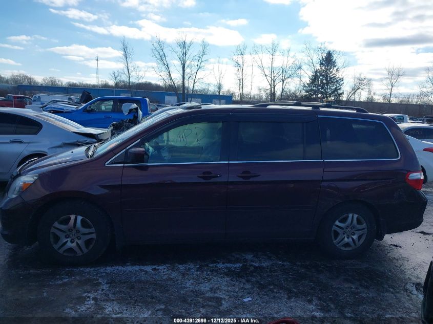 2007 Honda Odyssey Ex-L VIN: 5FNRL38717B448499 Lot: 43912698