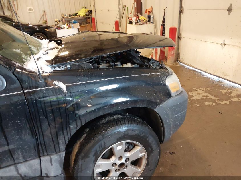 2007 Ford Escape Xlt/Xlt Sport VIN: 1FMYU03147KB77253 Lot: 43912768