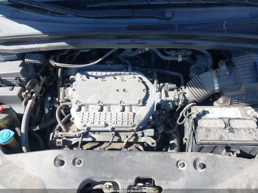 2007 Honda Odyssey Ex-L VIN: 5FNRL38687B453318 Lot: 43913273