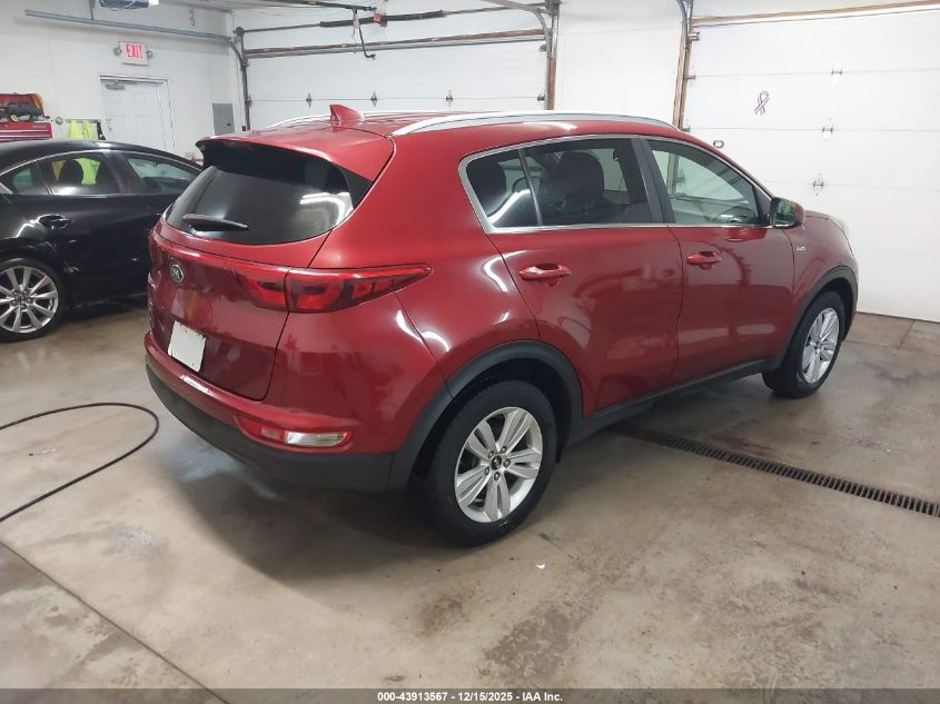 2017 Kia Sportage Lx VIN: KNDPMCAC3H7031646 Lot: 43913567