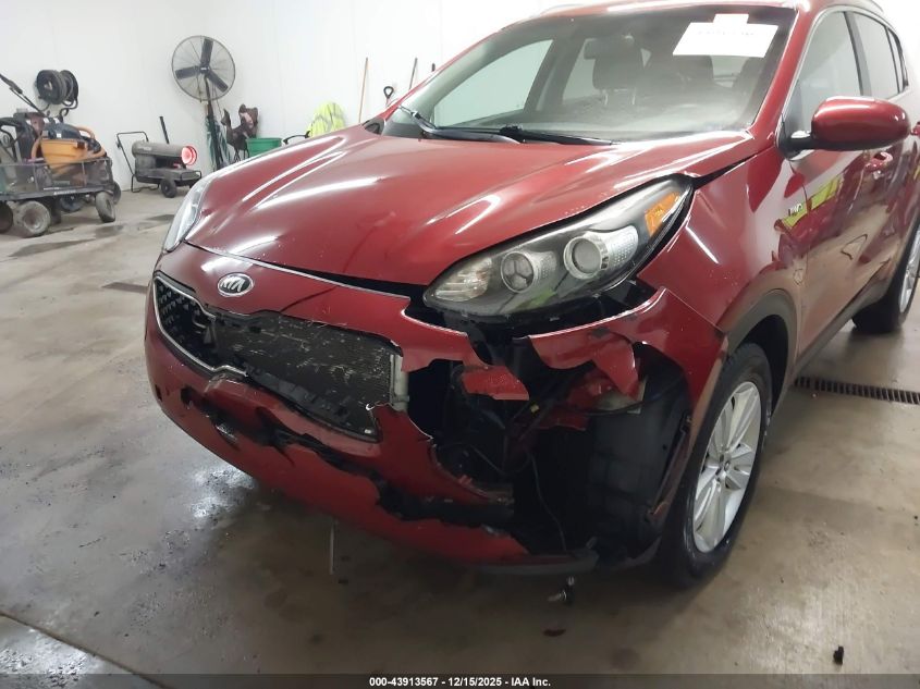 2017 Kia Sportage Lx VIN: KNDPMCAC3H7031646 Lot: 43913567