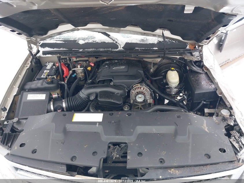 Auction sale of the 2007 CHEVROLET SILVERADO , vin: 1GCEK19J77Z512880, lot number: 43913576