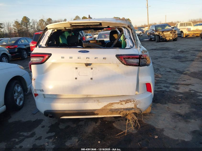 2023 Ford Escape St-Line VIN: 1FMCU0MN5PUA41245 Lot: 43913646
