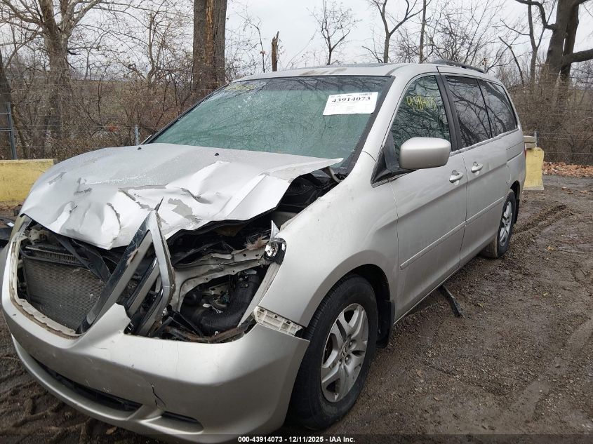 2007 Honda Odyssey Ex-L VIN: 5FNRL387X7B425402 Lot: 43914073