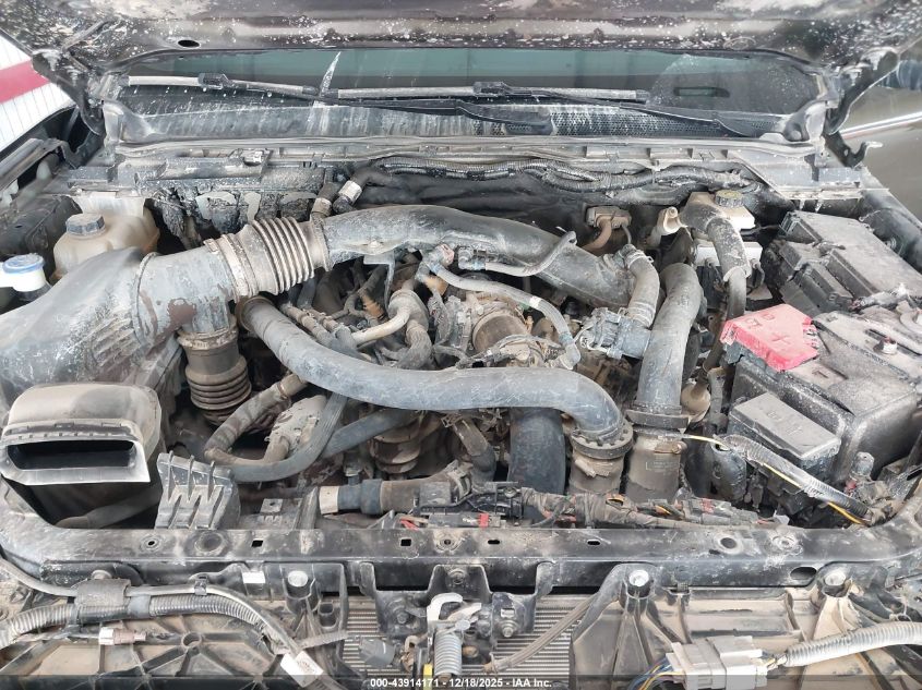 2024 Ford Ranger Raptor VIN: 1FTER4LR9RLE18971 Lot: 43914171