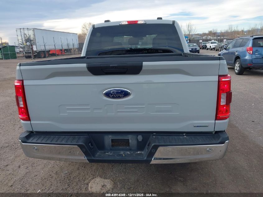 2023 Ford F-150 Xlt VIN: 1FTEW1C83PKE76494 Lot: 43914349