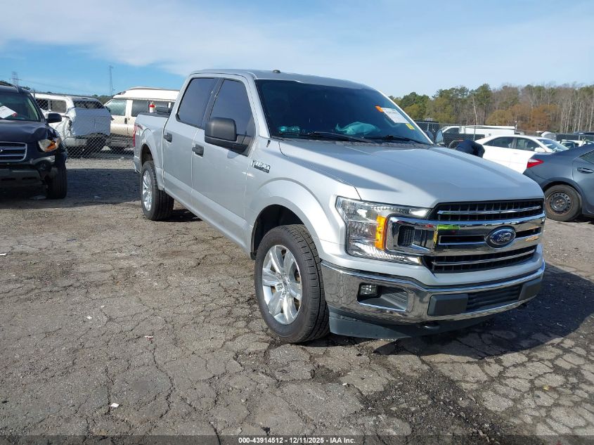 FORD F-150 XLT