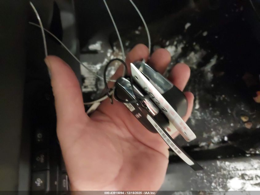 2024 GMC Terrain Awd At4 VIN: 3GKALYEG5RL140131 Lot: 43915094