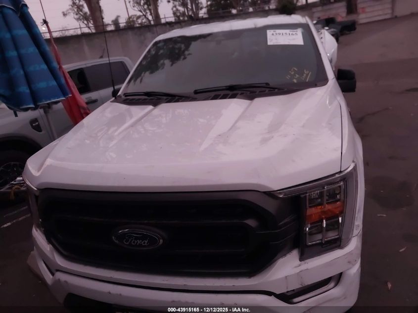 2023 Ford F-150 Xlt VIN: 1FTFW1E5XPKG03183 Lot: 43915165