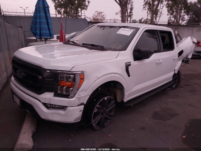 2023 Ford F-150 Xlt VIN: 1FTFW1E5XPKG03183 Lot: 43915165
