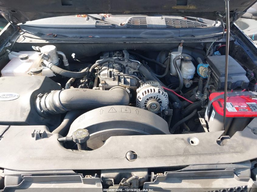 2008 Chevrolet Trailblazer Ss VIN: 1GNET13HX82161922 Lot: 43915256