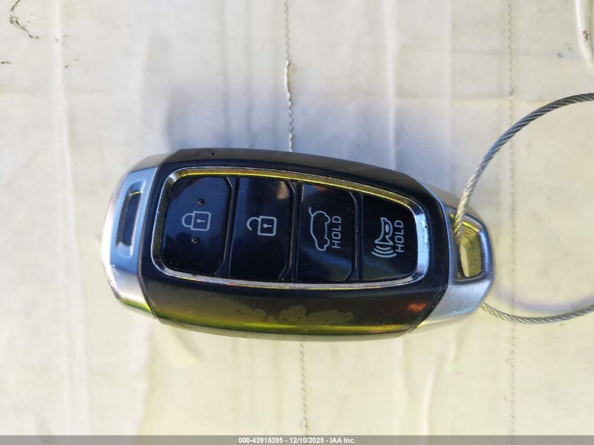 2020 Hyundai Santa Fe Sel VIN: 5NMS33AD8LH263716 Lot: 43915395