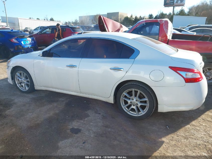 2009 Nissan Maxima 3.5 Sv VIN: 1N4AA51E39C851753 Lot: 43915819