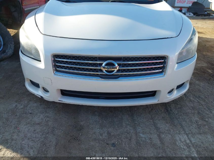 2009 Nissan Maxima 3.5 Sv VIN: 1N4AA51E39C851753 Lot: 43915819