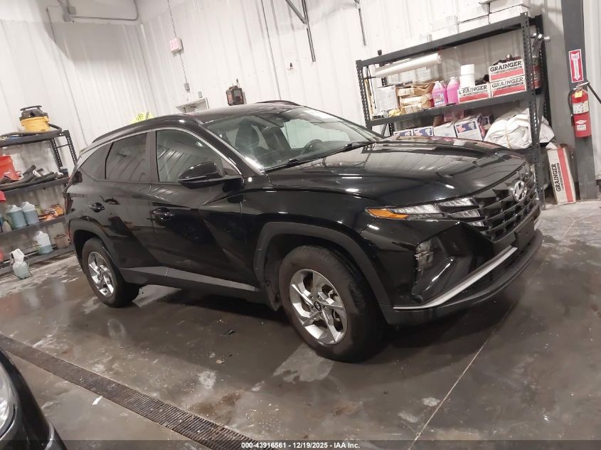 2023 Hyundai Tucson Sel VIN: 5NMJBCAEXPH188918 Lot: 43916561