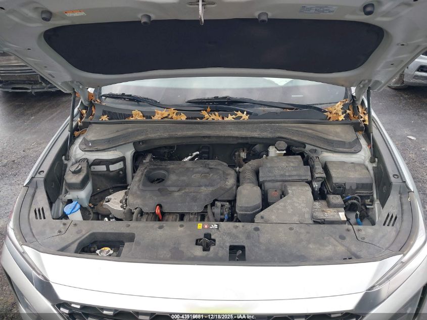 2020 Hyundai Santa Fe Sel VIN: 5NMS3CAD0LH288965 Lot: 43916681