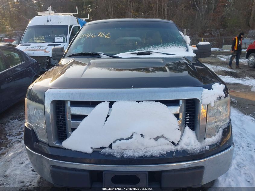 2010 Ford F-150 Stx/Xl/Xlt VIN: 1FTEX1E83AFB45084 Lot: 43916766