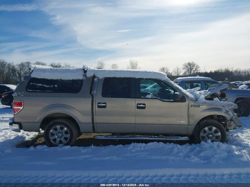 2013 Ford F-150 Xlt VIN: 1FTFW1CT2DFD29967 Lot: 43916915