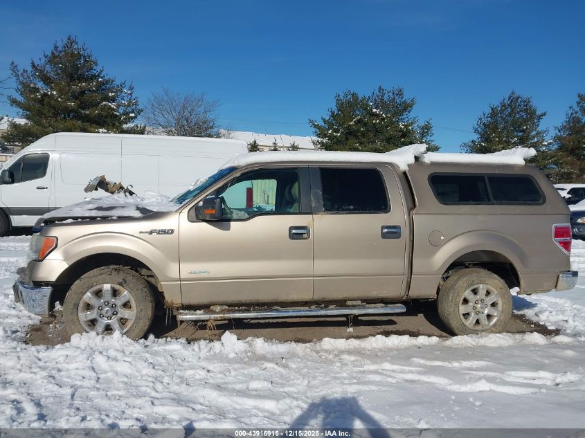 2013 Ford F-150 Xlt VIN: 1FTFW1CT2DFD29967 Lot: 43916915