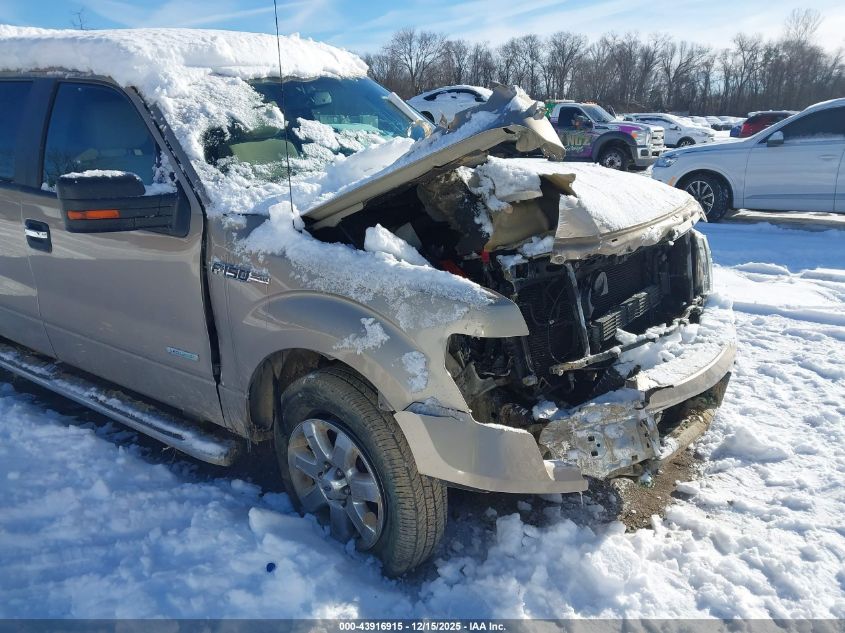 2013 Ford F-150 Xlt VIN: 1FTFW1CT2DFD29967 Lot: 43916915