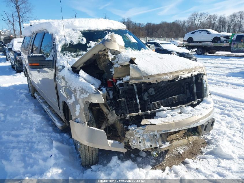 2013 Ford F-150 Xlt VIN: 1FTFW1CT2DFD29967 Lot: 43916915