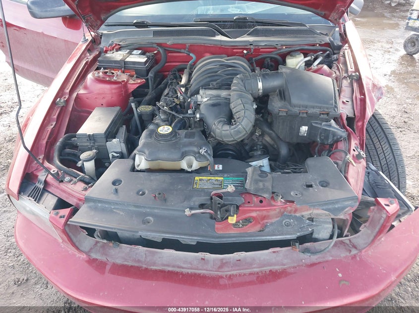 1ZVHT82H355111466 2005 FORD MUSTANG photo no. 10