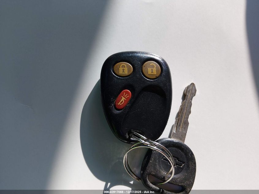 2004 Chevrolet Silverado 1500 Z71 VIN: 2GCEK13T841432373 Lot: 43917066