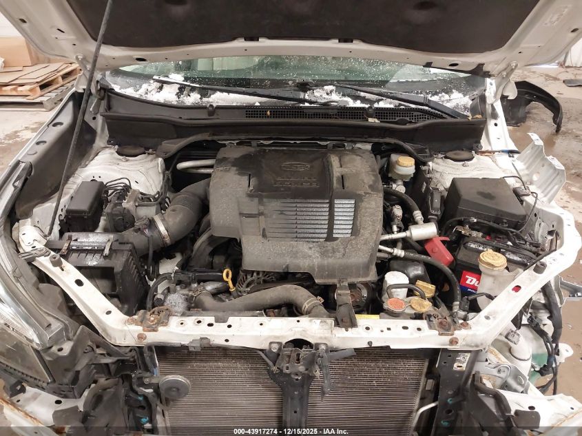 2019 Subaru Forester Premium VIN: JF2SKAECXKH460624 Lot: 43917274