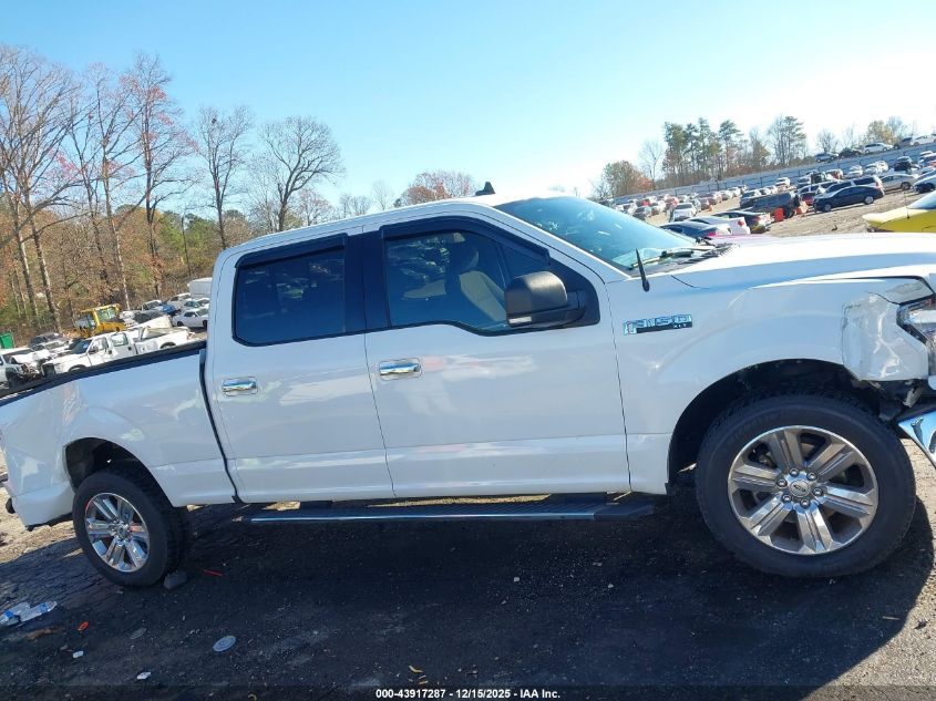 2019 Ford F-150 Xlt VIN: 1FTEW1CP2KFA51616 Lot: 43917287