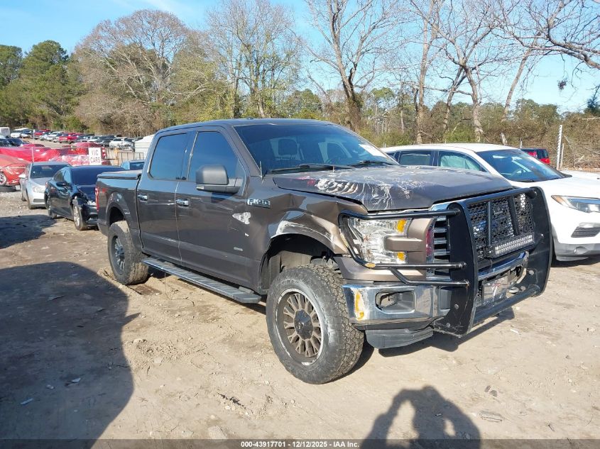 FORD F-150 XLT