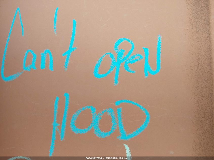 1995 Chevrolet Suburban K1500 VIN: 1GNFK16K8SJ423304 Lot: 43917994