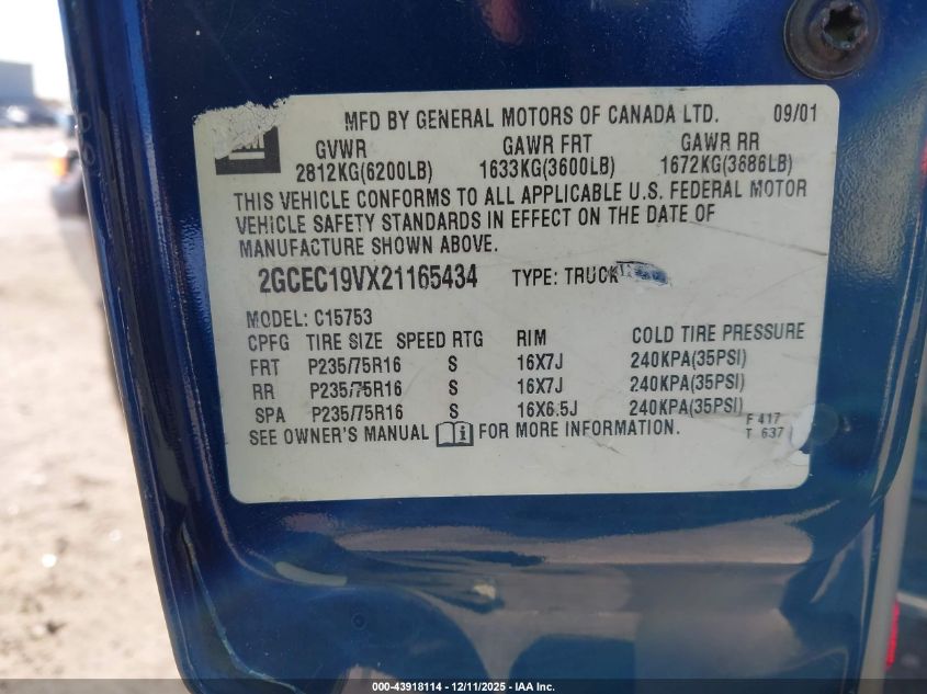 2002 Chevrolet Silverado 1500 Ls VIN: 2GCEC19VX21165434 Lot: 43918114