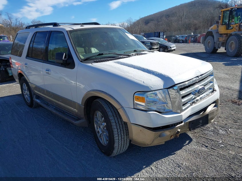 1FMJU1J52EEF00207 FORD EXPEDITION Photo 1