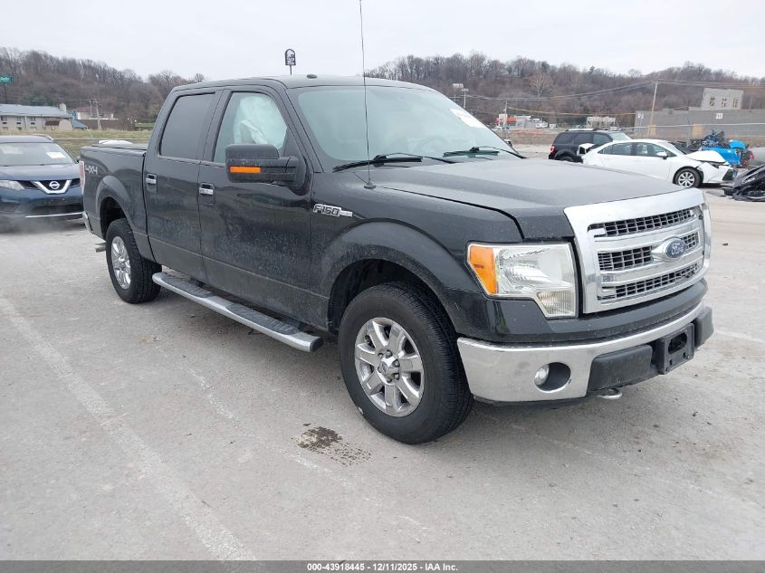 FORD F-150 XLT