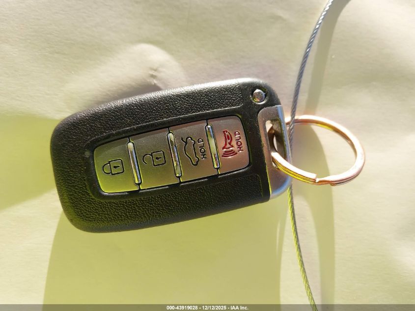 2009 Hyundai Genesis 4.6 VIN: KMHGC46F89U064992 Lot: 43919028