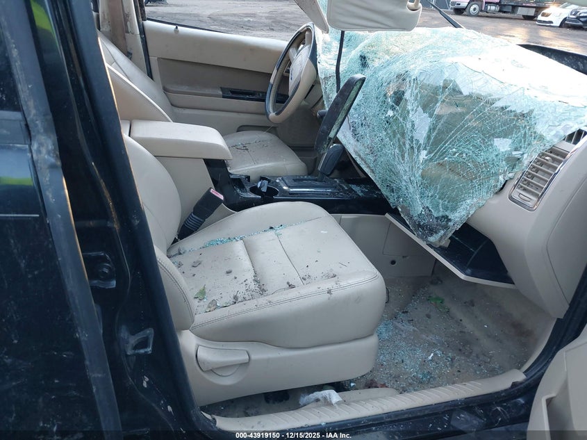 2009 Ford Escape Limited