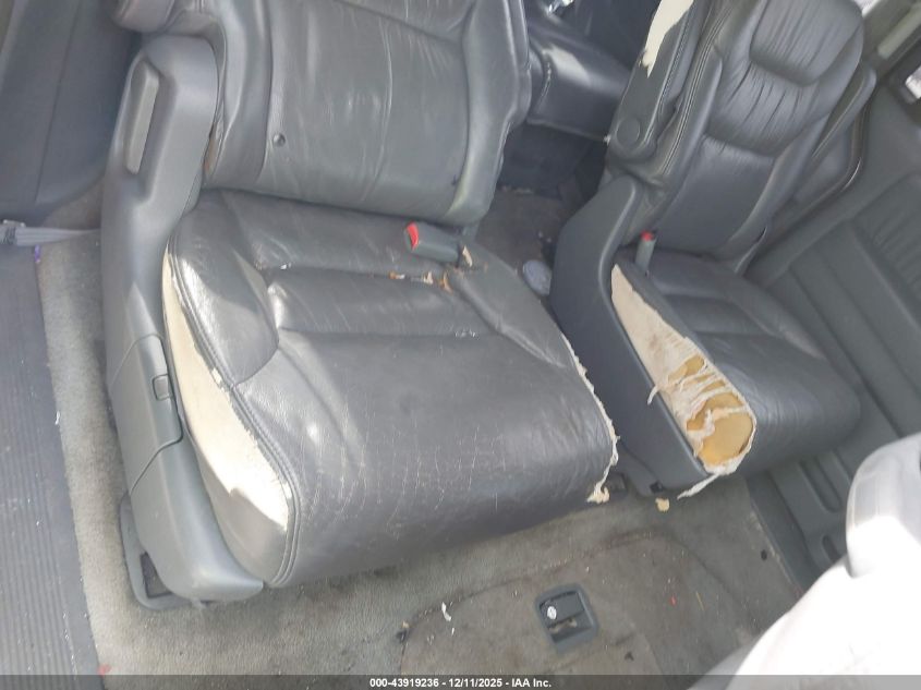 2006 Honda Odyssey Ex-L VIN: 5FNRL38616B114432 Lot: 43919236