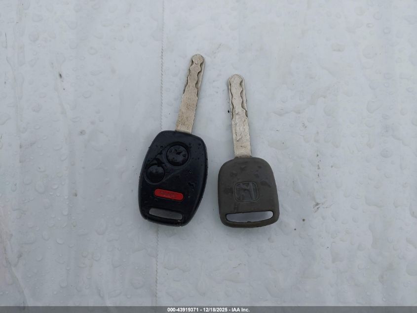 2007 Honda Cr-V Ex-L VIN: JHLRE48727C119455 Lot: 43919371