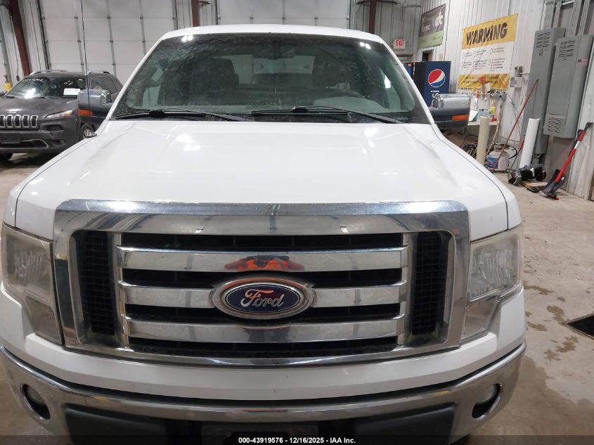 2009 Ford F-150 Fx4/Lariat/Xl/Xlt VIN: 1FTPX14V59FA53874 Lot: 43919576