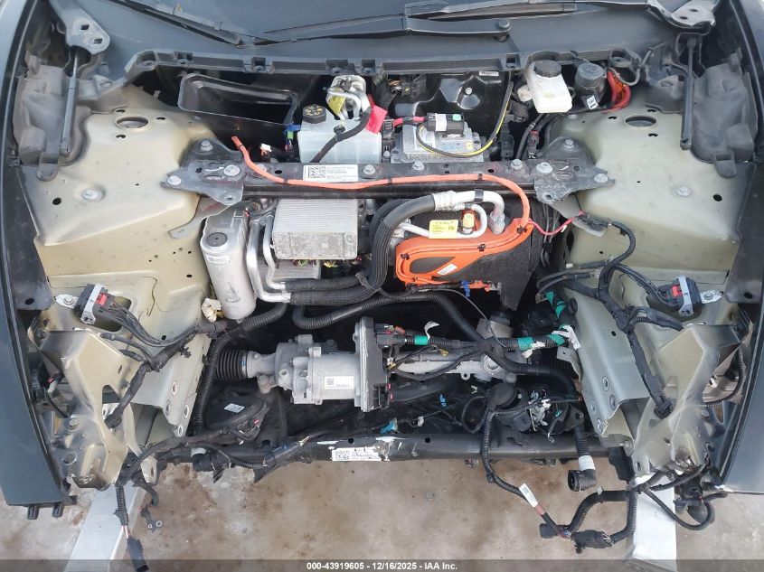 2023 Tesla Model 3 Rear-Wheel Drive VIN: 5YJ3E1EA7PF555920 Lot: 43919605