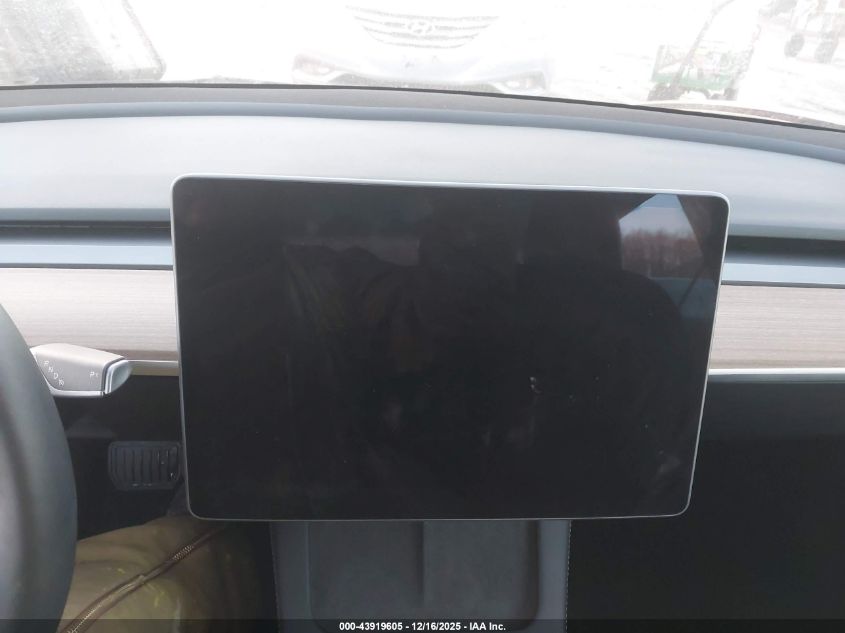 2023 Tesla Model 3 Rear-Wheel Drive VIN: 5YJ3E1EA7PF555920 Lot: 43919605