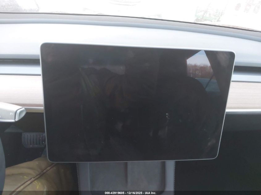 2023 Tesla Model 3 Rear-Wheel Drive VIN: 5YJ3E1EA7PF555920 Lot: 43919605