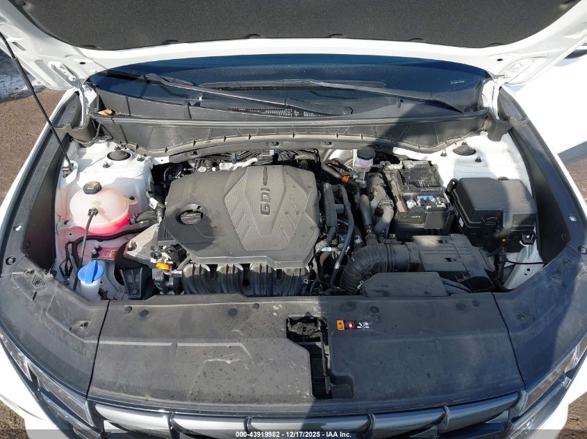 2023 Hyundai Tucson Sel VIN: 5NMJBCAE8PH237808 Lot: 43919982