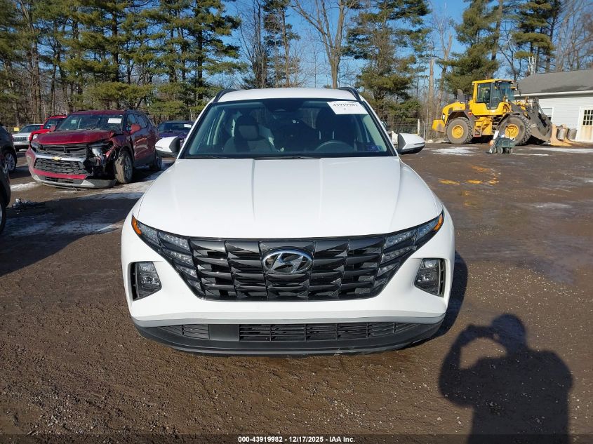 2023 Hyundai Tucson Sel VIN: 5NMJBCAE8PH237808 Lot: 43919982