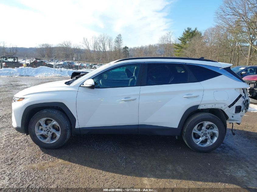 2023 Hyundai Tucson Sel VIN: 5NMJBCAE8PH237808 Lot: 43919982