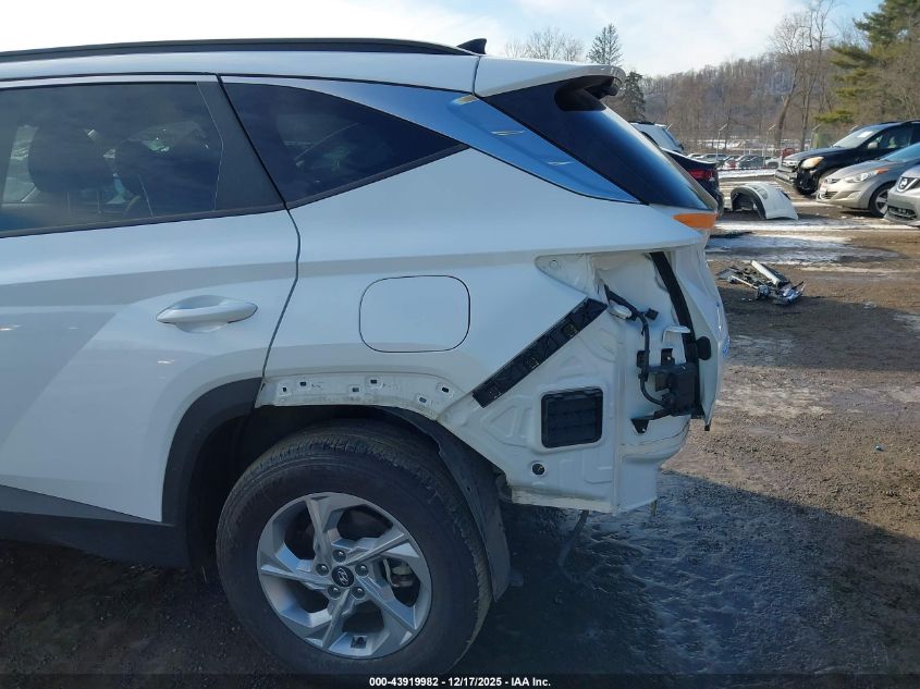 2023 Hyundai Tucson Sel VIN: 5NMJBCAE8PH237808 Lot: 43919982