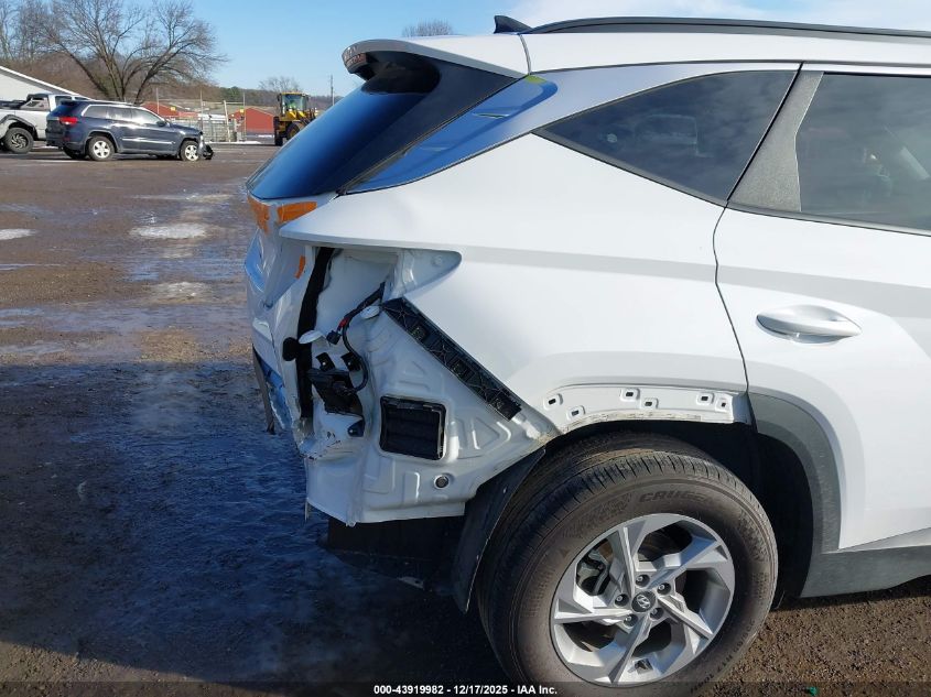 2023 Hyundai Tucson Sel VIN: 5NMJBCAE8PH237808 Lot: 43919982