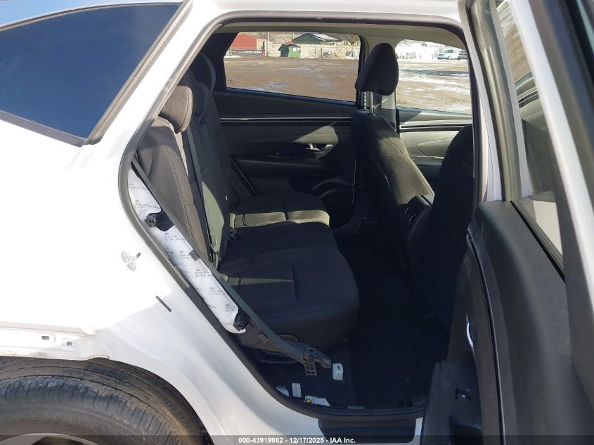 2023 Hyundai Tucson Sel VIN: 5NMJBCAE8PH237808 Lot: 43919982