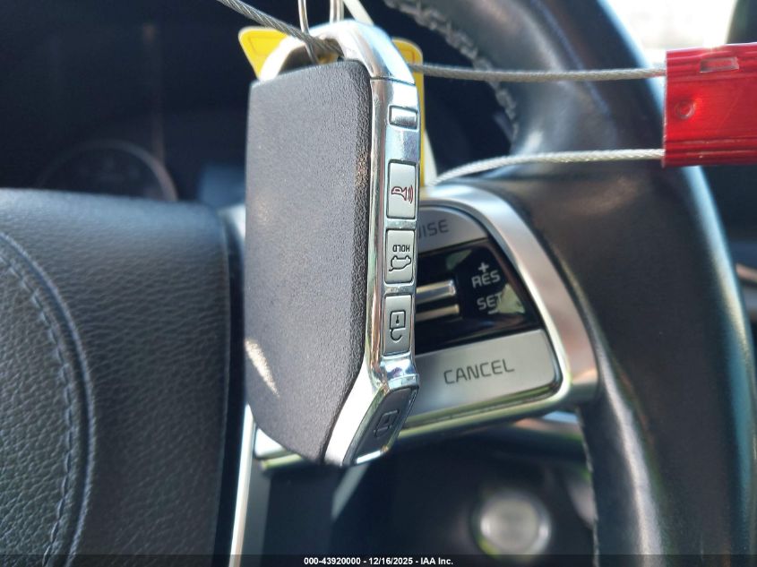 2020 Kia Telluride Ex VIN: 5XYP3DHC6LG083606 Lot: 43920000