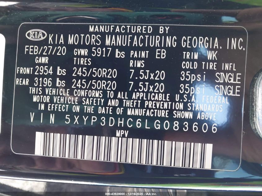 2020 Kia Telluride Ex VIN: 5XYP3DHC6LG083606 Lot: 43920000